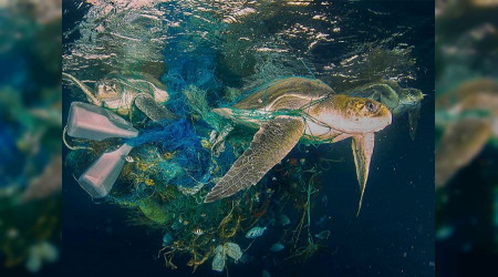 Hayalet ağlar yaşamı tehdit ediyor