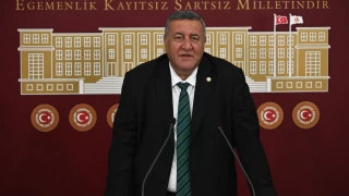 "Hayvandan bulaşan hastalıklar için yeni birim kurulmalı"