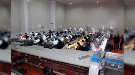 Hibe desteğiyle kurulan tesisten ilk ihracat