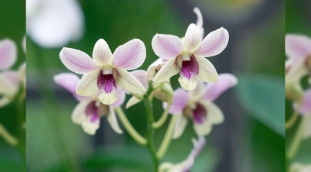 Hz. Abdulkadir Geylani'den Altın Öğütler