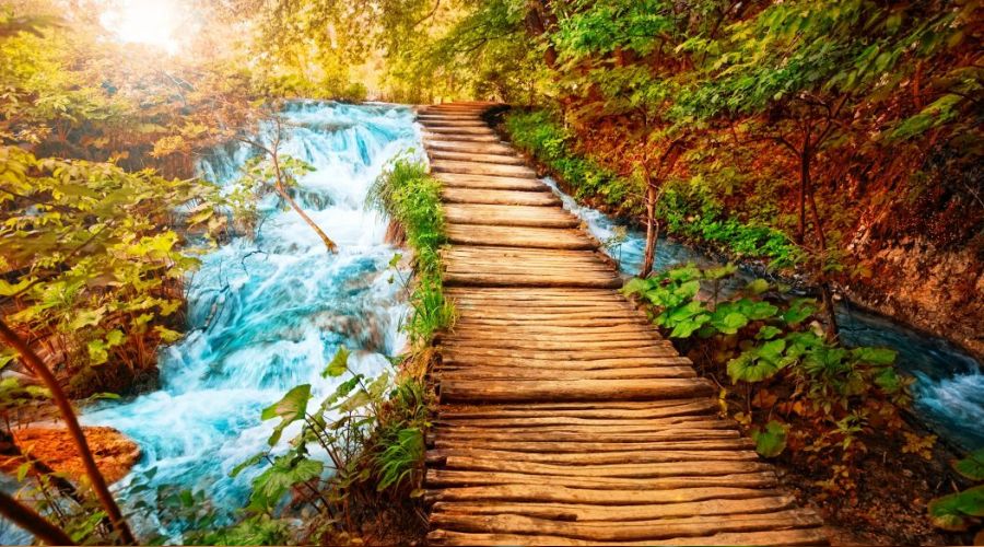 İlim cennete götüren yoldur