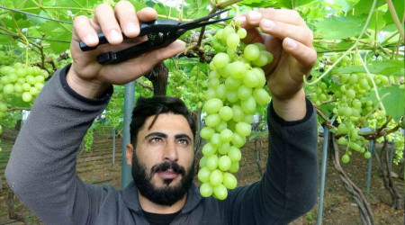 İlk siparişler Ortadoğu ve Rusya'dan