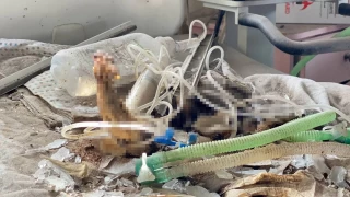 İsrail'in zorla boşalttığı çocuk hastanesindeki bebeklerin çürümüş bedenleri ortaya çıktı