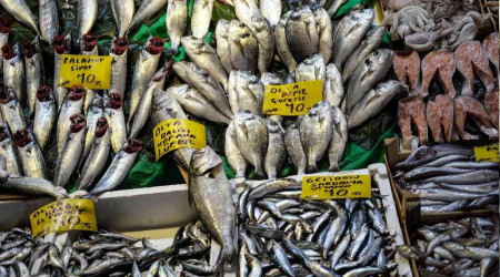 İstanbul'da tezgahlarda balık çeşitliliği