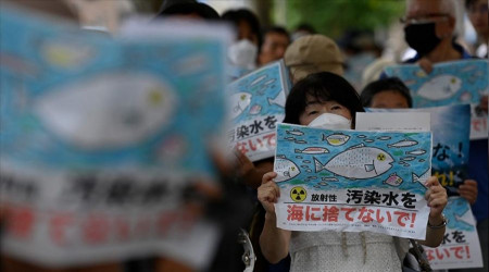 Japonya: Radyasyon 'sınırın altında'