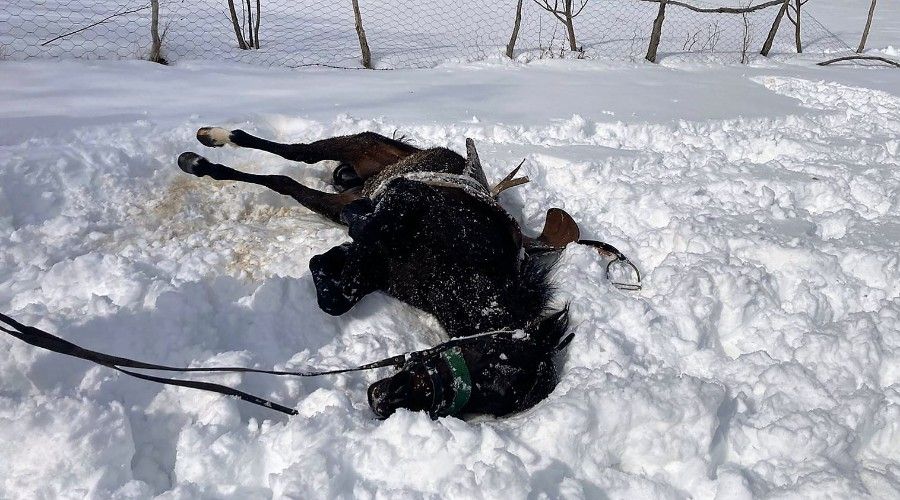 Karayel'in kar sevinci görenlerin yüreğini ısıttı