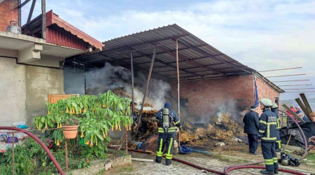 Kocaeli'de korkutan yangn