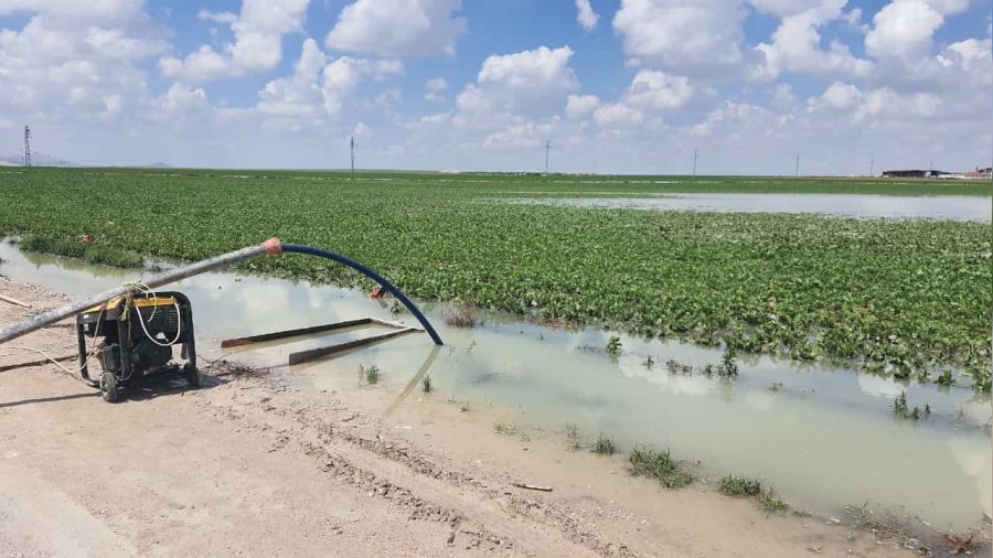 Konya'da tarlalardan su tahliye çalışması yapılıyor