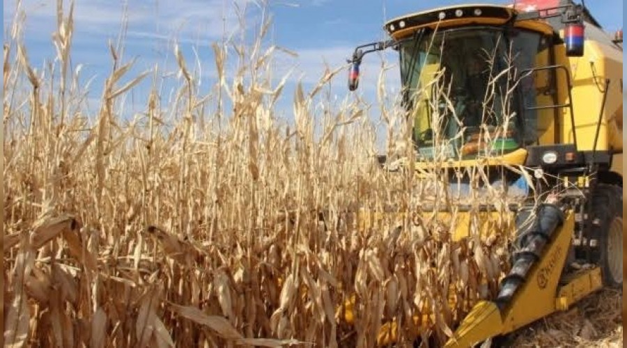 Korona'nın öne çıkardığı sektörler