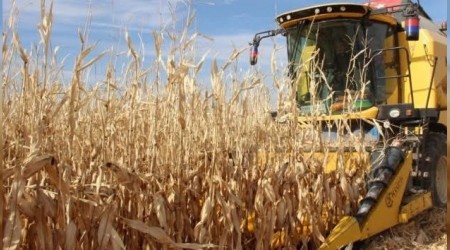 Korona'nın öne çıkardığı sektörler