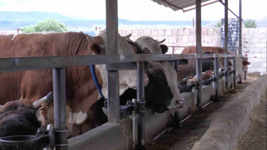 Küpeyi bırak dişe bak