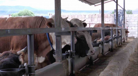 Küpeyi bırak dişe bak