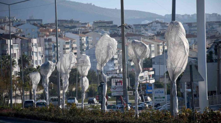 Kuşadası'nda ağaçlara özel koruma
