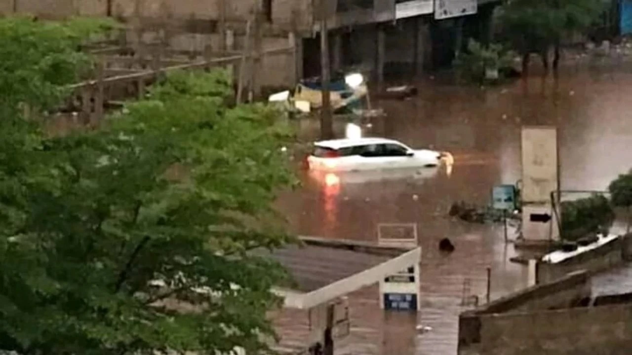 Mali'deki seller 15 can aldı