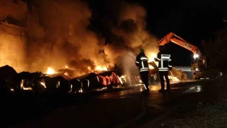 Mersin'de limon paketleme tesisinde yangın