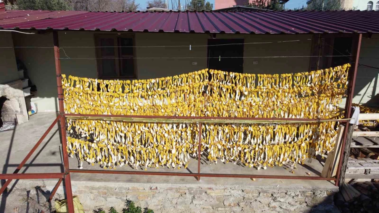 Meyvesi yüz güldürmedi kabuğu altın oldu