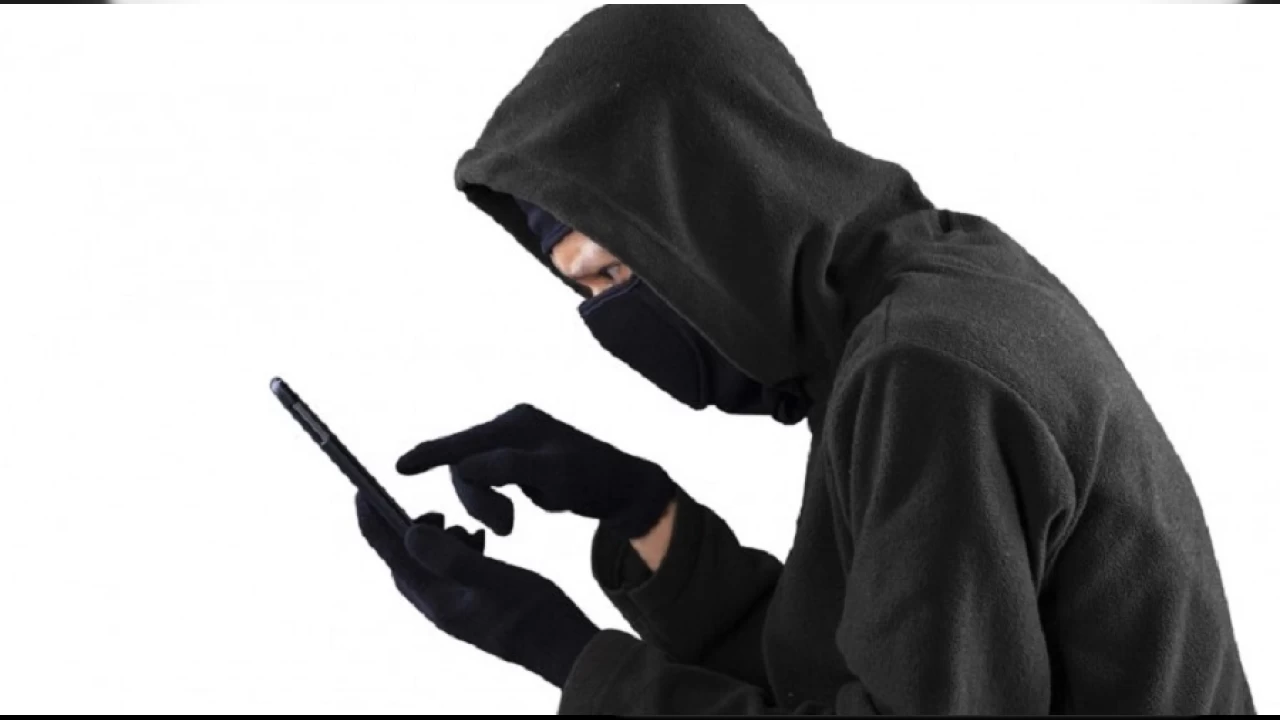 Niğde'de siber dolandırıcılık operasyonu: 12 gözaltı