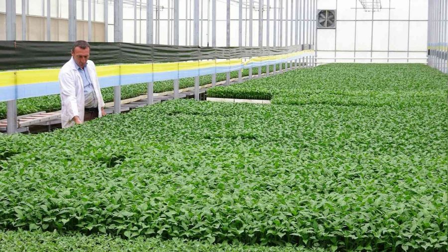 Organik tarıma ilgi artıyor