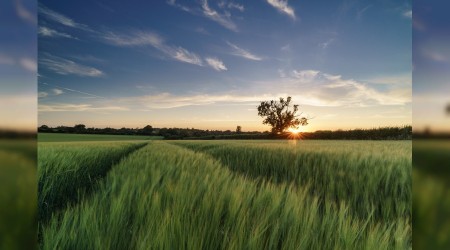 ‘Öyle ağlarlar ki gözyaşları tükenir’