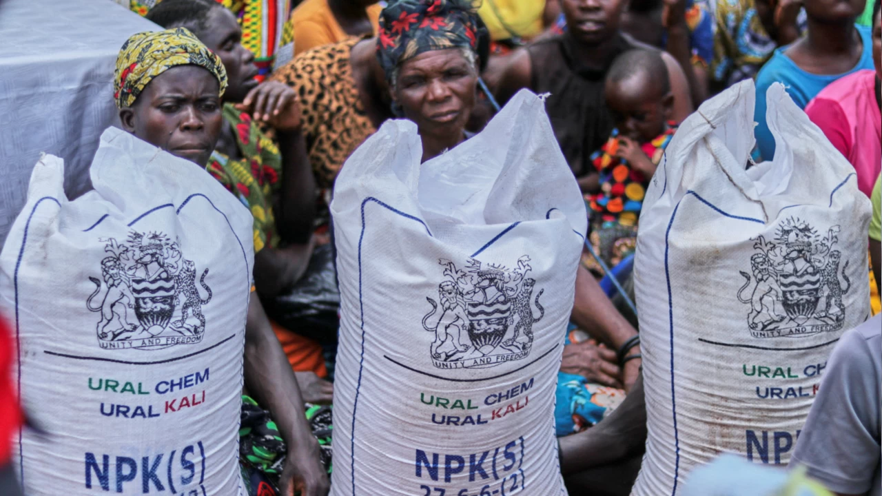Rusya'dan Afrika'ya 'bedelsiz' gübre gönderildi