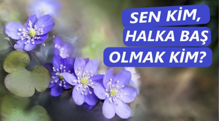 Sen kim, halka baş olmak kim?