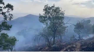 Siirt'te 5 ayrı noktada yangın alarmı: 4 bölgede söndürüldü
