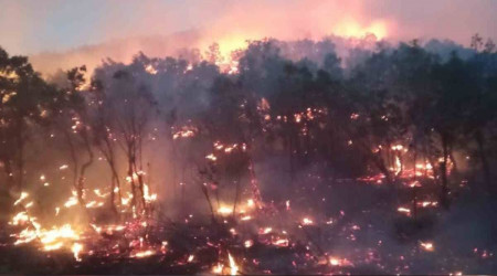 Siirt'te orman yangını: Birçok ilden destek istendi