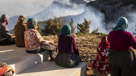 Silifke ve Aydnck'ta yaklak 14 bin hektar alan yand