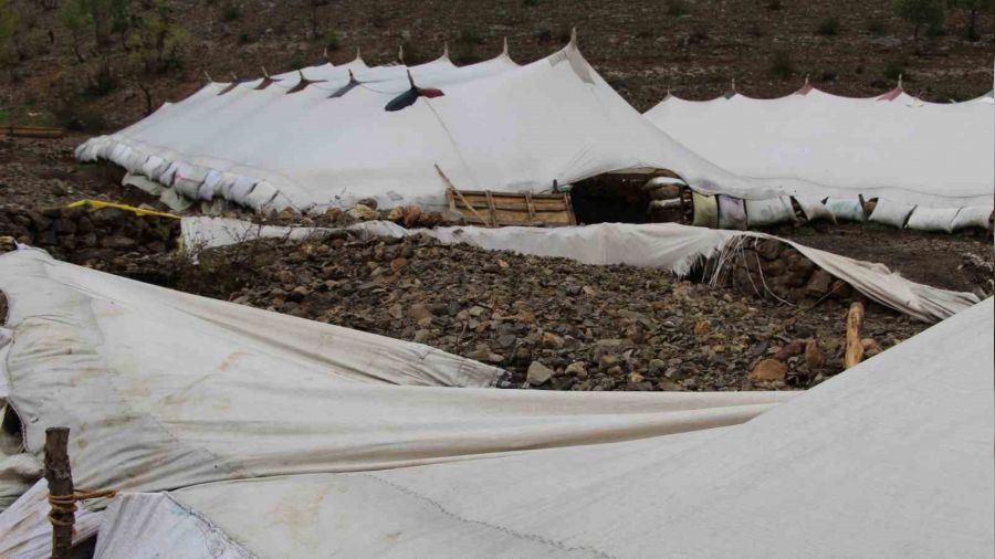 Şırnak'taki selde 205 hayvan telef etti