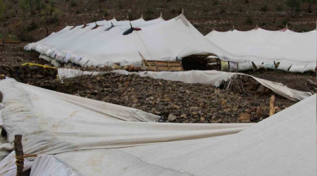 Şırnak'taki selde 205 hayvan telef etti