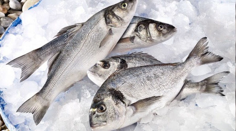 Su ürünlerinde rekor üretim