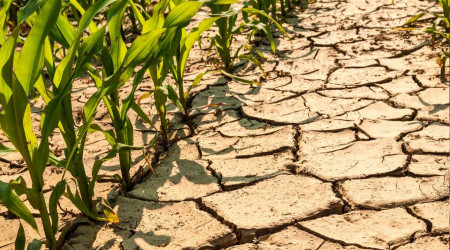 Tarımsal kriz çok yakın