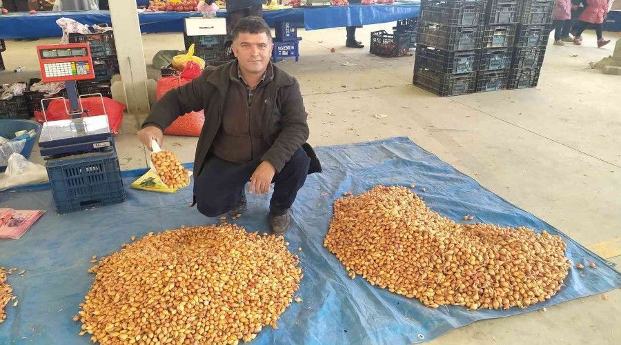Tohumluk kuru soğanın kilogram fiyatını 5 TL'ye düştü