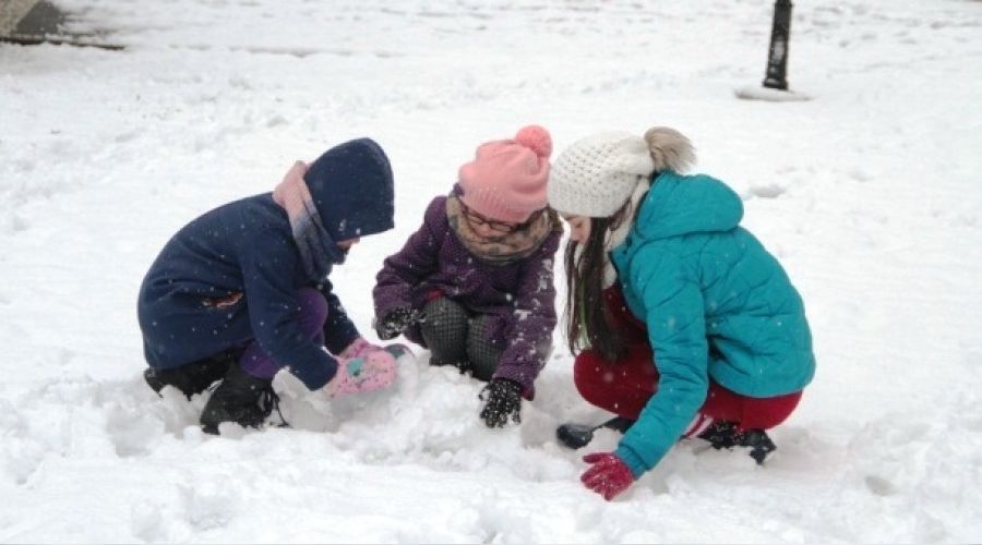 Tunceli'nin 3 ilesinde okullara kar tatili