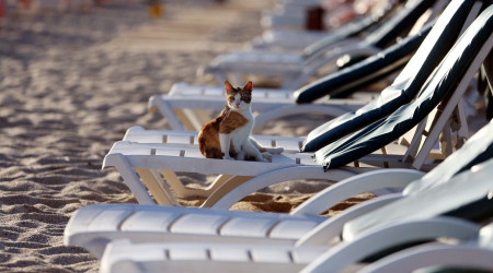 Turizm sektörü borç batağında