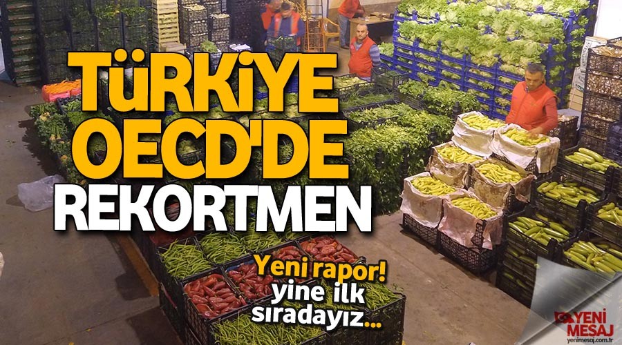 Türkiye enflasyonda OECD'de rekortmen