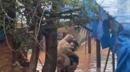 56 köpeğin telef olduğu o barınakta mahsur kalan köpekler böyle kurtarıldı