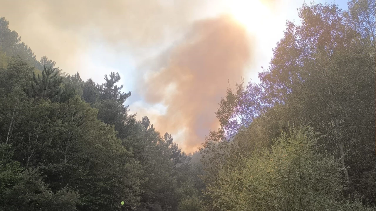 Afyonkarahisar'daki orman yangınıyla ilgili 1 kişi gözaltına alındı