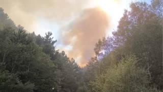 Afyonkarahisar'daki orman yangınıyla ilgili 1 kişi gözaltına alındı