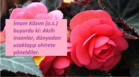 Akıllı insan, ahirete yönelendir