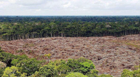 Amazonlar'da kym devam ediyor