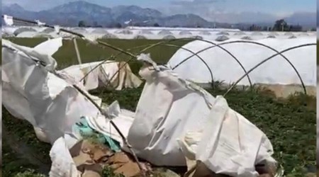 Antalya'da şiddetli rüzgar seraları uçurdu