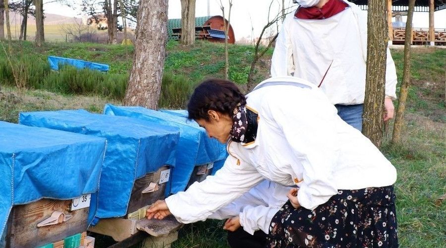 Arıcılık yatırımları destekleniyor