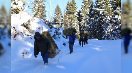 Artvin’de yaban hayat unutulmadı