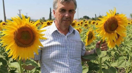 Ayçiçek avans fiyatları üreticinin yüzünü güldürdü