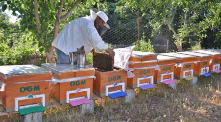 Balkesir'in Bal ehri olduu tescillendi