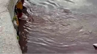 Bandırma'da deniz yüzeyi kırmızıya döndü