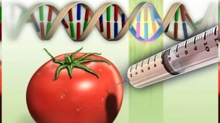 Beslenme zincirimizdeki gizli tehlike