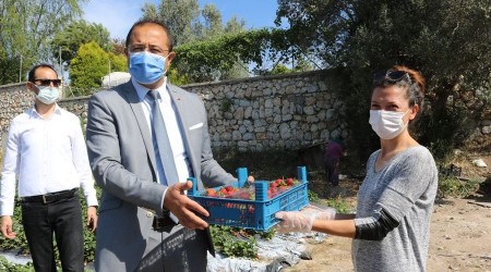 Bodrum belediyesi, tezgaha çıkarılamayan ürünleri halka ulaştırıyor