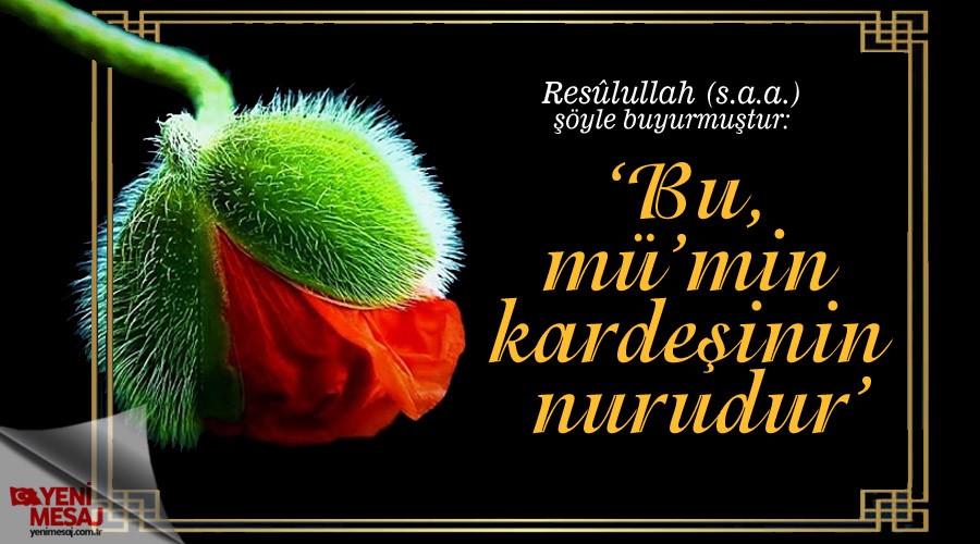 ‘Bu, mü’min kardeşinin nurudur’